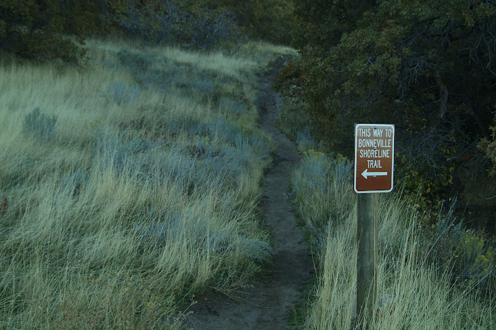 We need pictures of this section of trail. Email them to bonnevilleshorelinetrail@gmail.com.